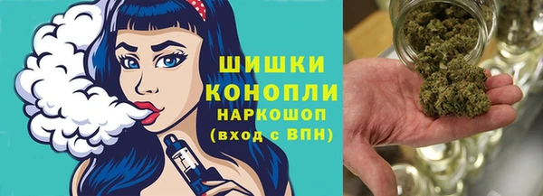 индика Абдулино