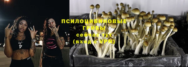 ешки Абаза