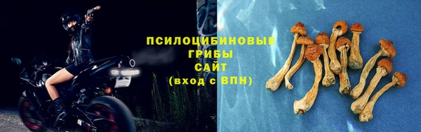 ешки Абаза