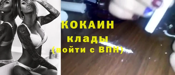 индика Абдулино