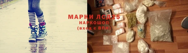 индика Абдулино