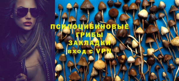 индика Абдулино