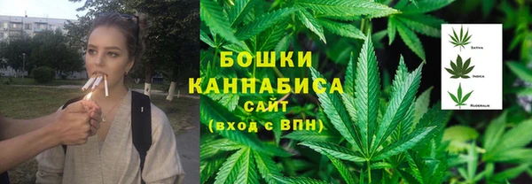 индика Абдулино